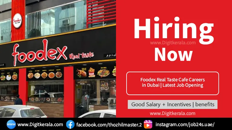 Foodex Real Taste Cafe Careers in Dubai | Latest Job Opening 2024