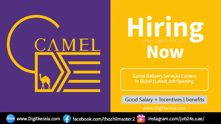 Camel Delivery Services Careers in Dubai | Latest Job Opening 2024